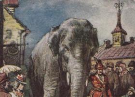 Objava o pravljici slon in mops